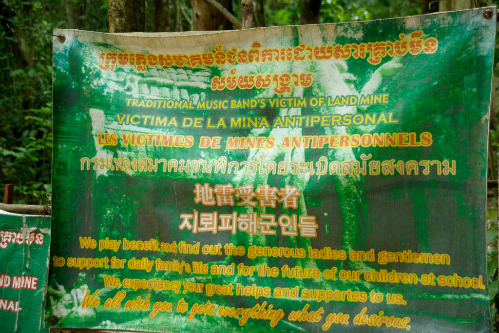 July 17, 2015for blog-Ta Prohm Temple_IMG1977_