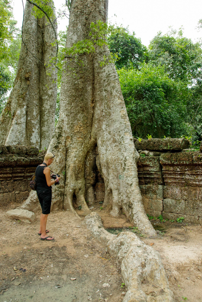 July 17, 2015for blog-Ta Prohm Temple_IMG2030_