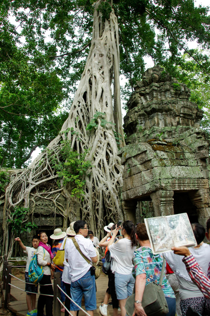 July 17, 2015for blog-Ta Prohm Temple_IMG2059_