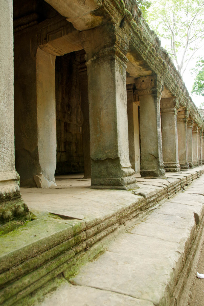 July 17, 2015for blog-Ta Prohm Temple_IMG2077_