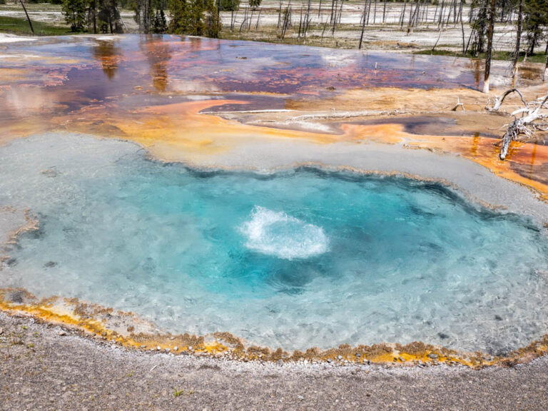 Thermal Features In Yellowstone Creative Photographs By Shelly Rosenberg